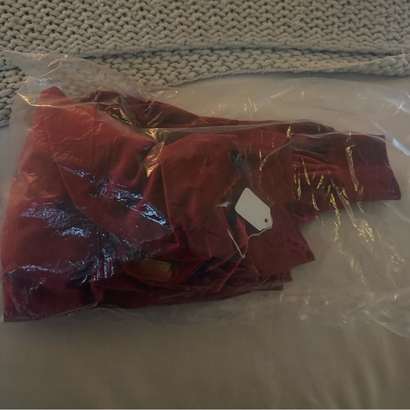 Aviator Nation Classic Velvet Relaxed Crewneck Sweatshirt Red S NWT - Picture 6 of 8